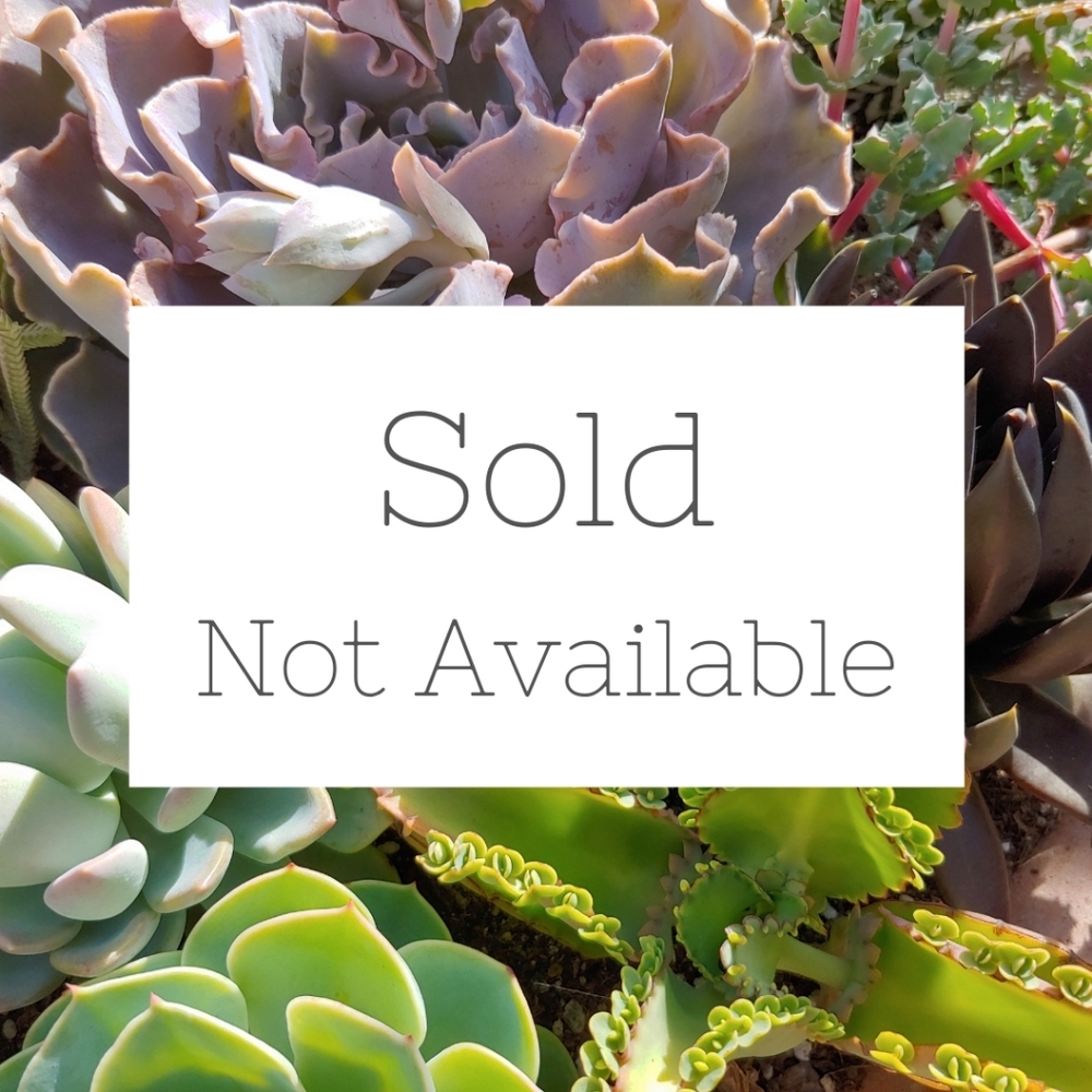 SOLD ITEMS